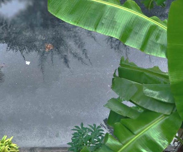 Puddling Event Monitoring Output