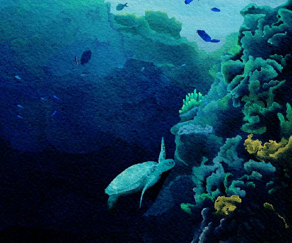 Life Life Everywhere