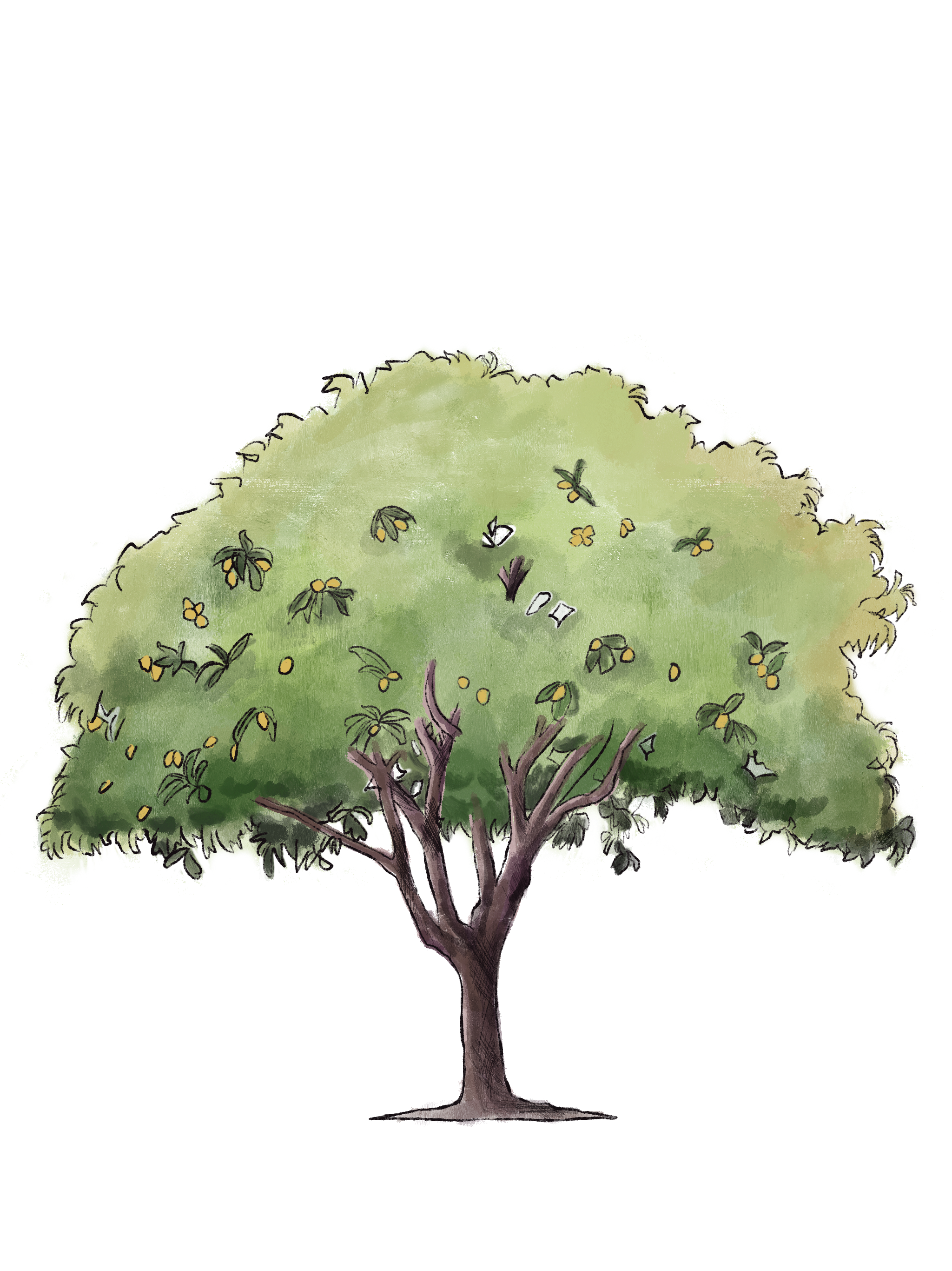 Tree Inventory