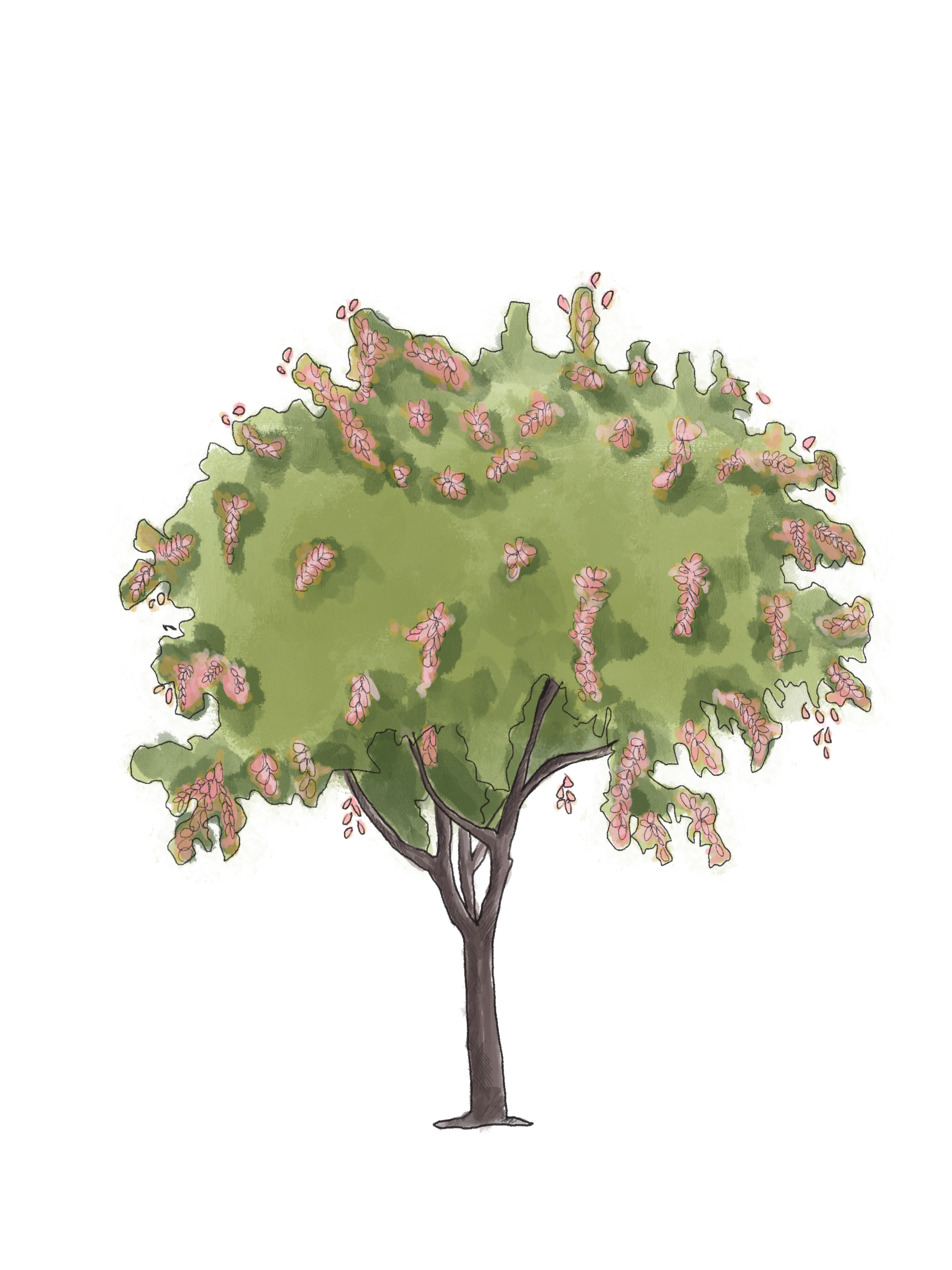Tree Inventory